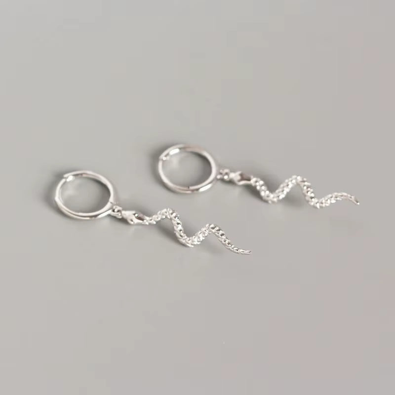 Hoop Earrings for Women Men Snake Animal Gold Silver Color Ear Jewelry Gifts