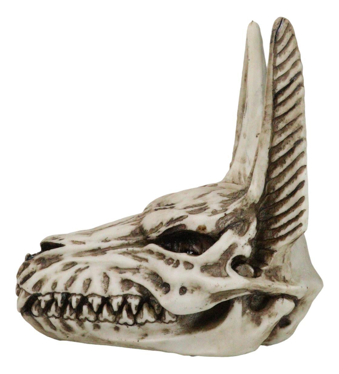 Ebros Ancient Egyptian Deity God Anubis Jackal Skull Statue Decor 6.75"H