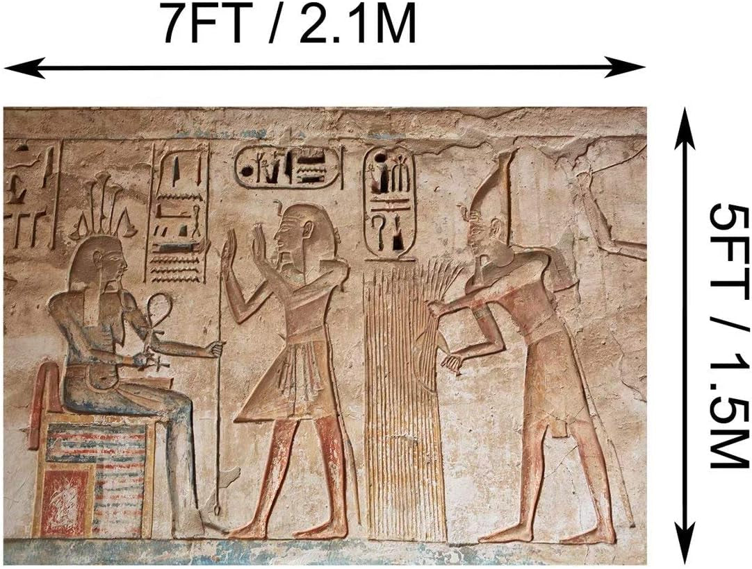 7X5Ft Fabric Wall Painting Backdrop Ancient Egyptian Gods and Hieroglyphs in Wall Painting Egyptian Tomb Phtography Backdrop for Party Decoration Photoshoot Photo Background Props