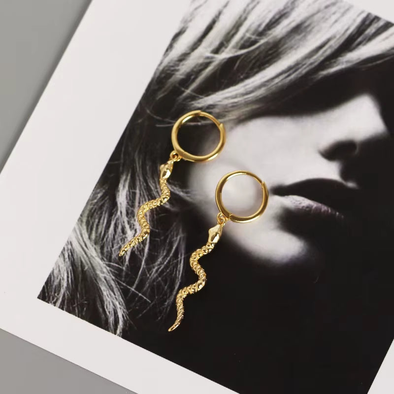 Hoop Earrings for Women Men Snake Animal Gold Silver Color Ear Jewelry Gifts