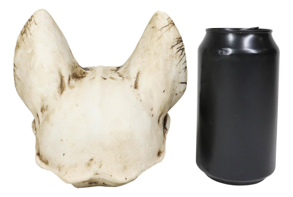 Egyptian Goddess of Protection and Home Bastet Cat Skull Statue Macabre Skulls