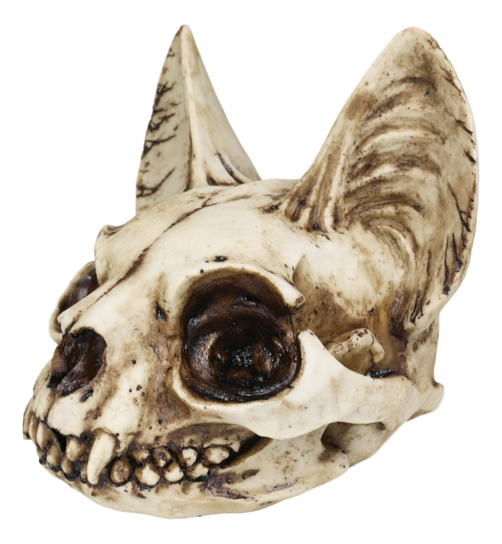 Egyptian Goddess of Protection and Home Bastet Cat Skull Statue Macabre Skulls
