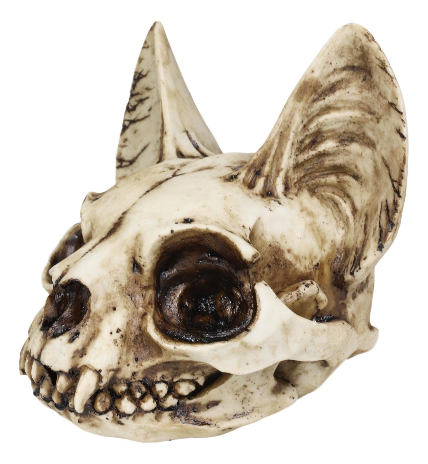 Egyptian Goddess of Protection and Home Bastet Cat Skull Statue Macabre Skulls