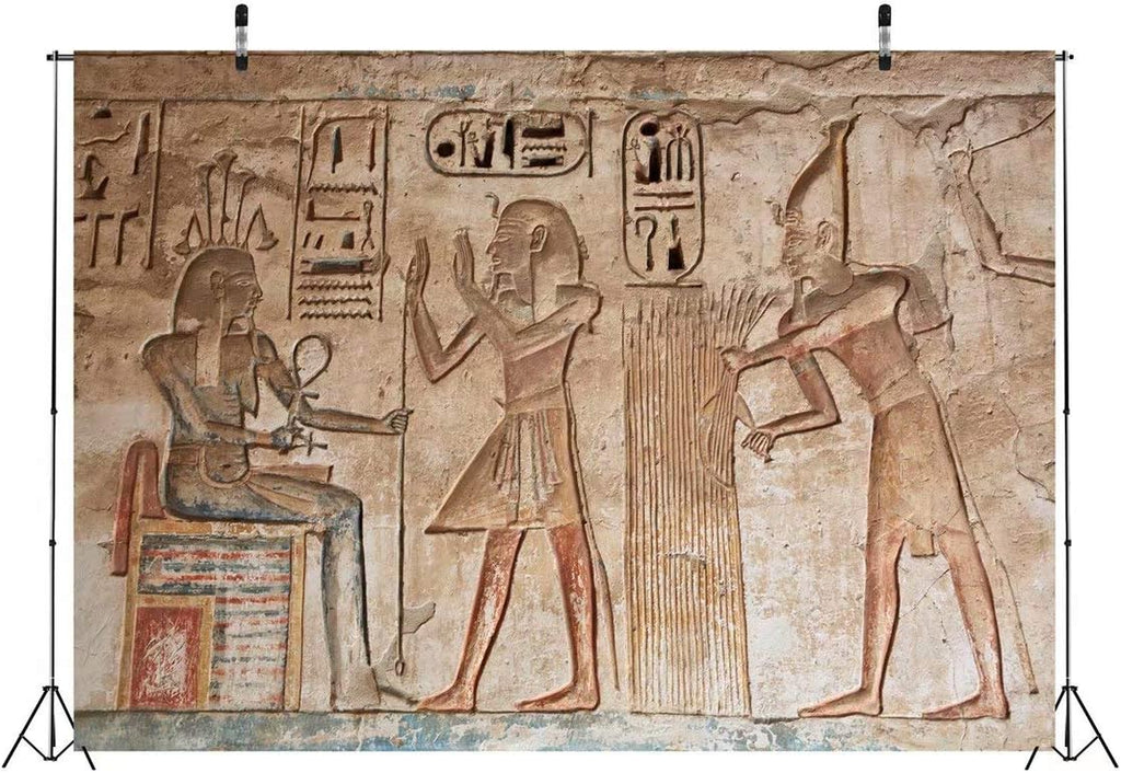 7X5Ft Fabric Wall Painting Backdrop Ancient Egyptian Gods and Hieroglyphs in Wall Painting Egyptian Tomb Phtography Backdrop for Party Decoration Photoshoot Photo Background Props