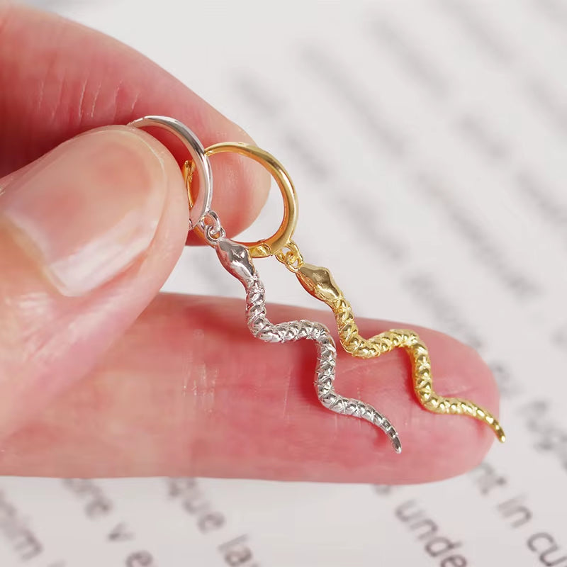 Hoop Earrings for Women Men Snake Animal Gold Silver Color Ear Jewelry Gifts