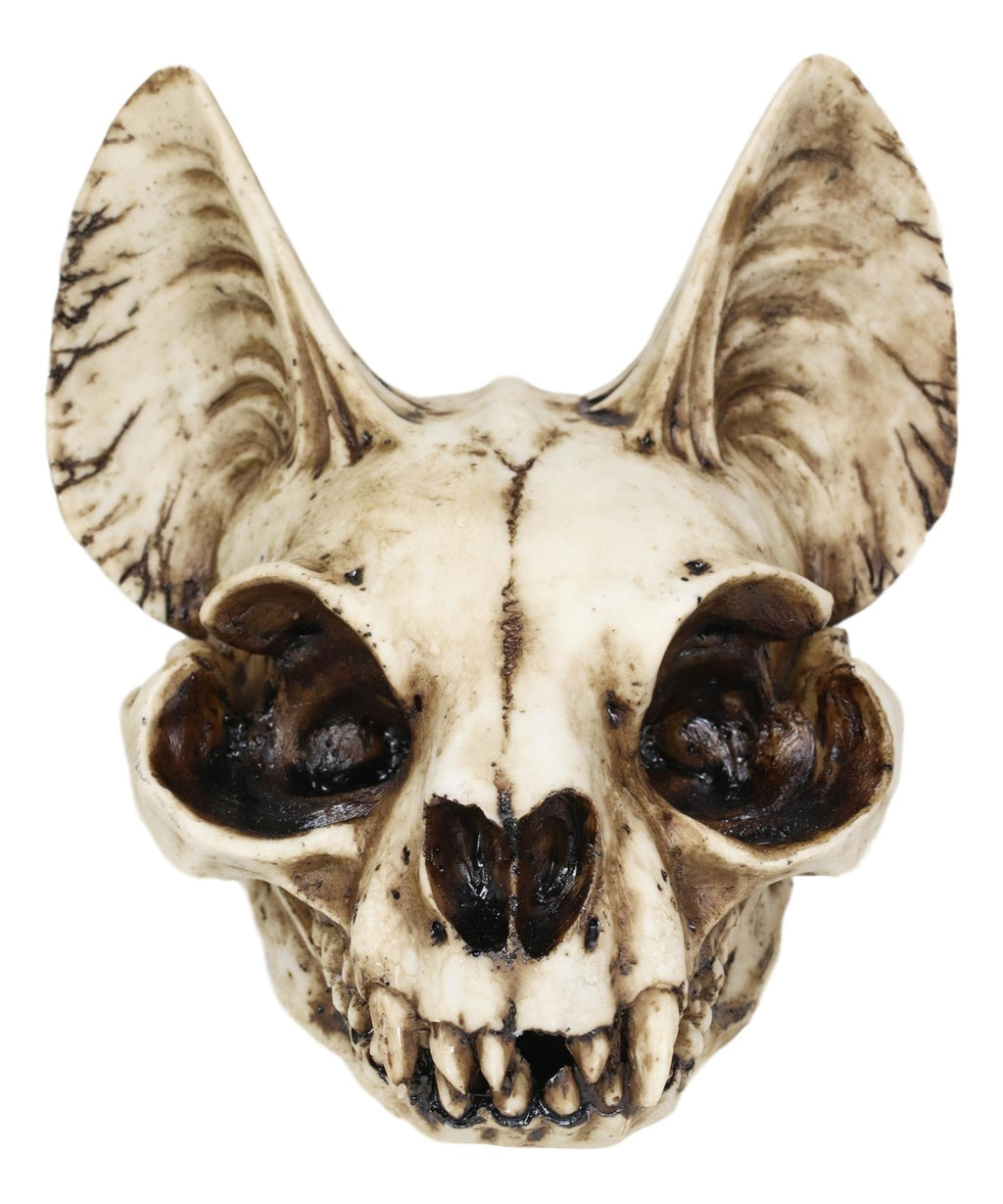 Egyptian Goddess of Protection and Home Bastet Cat Skull Statue Macabre Skulls