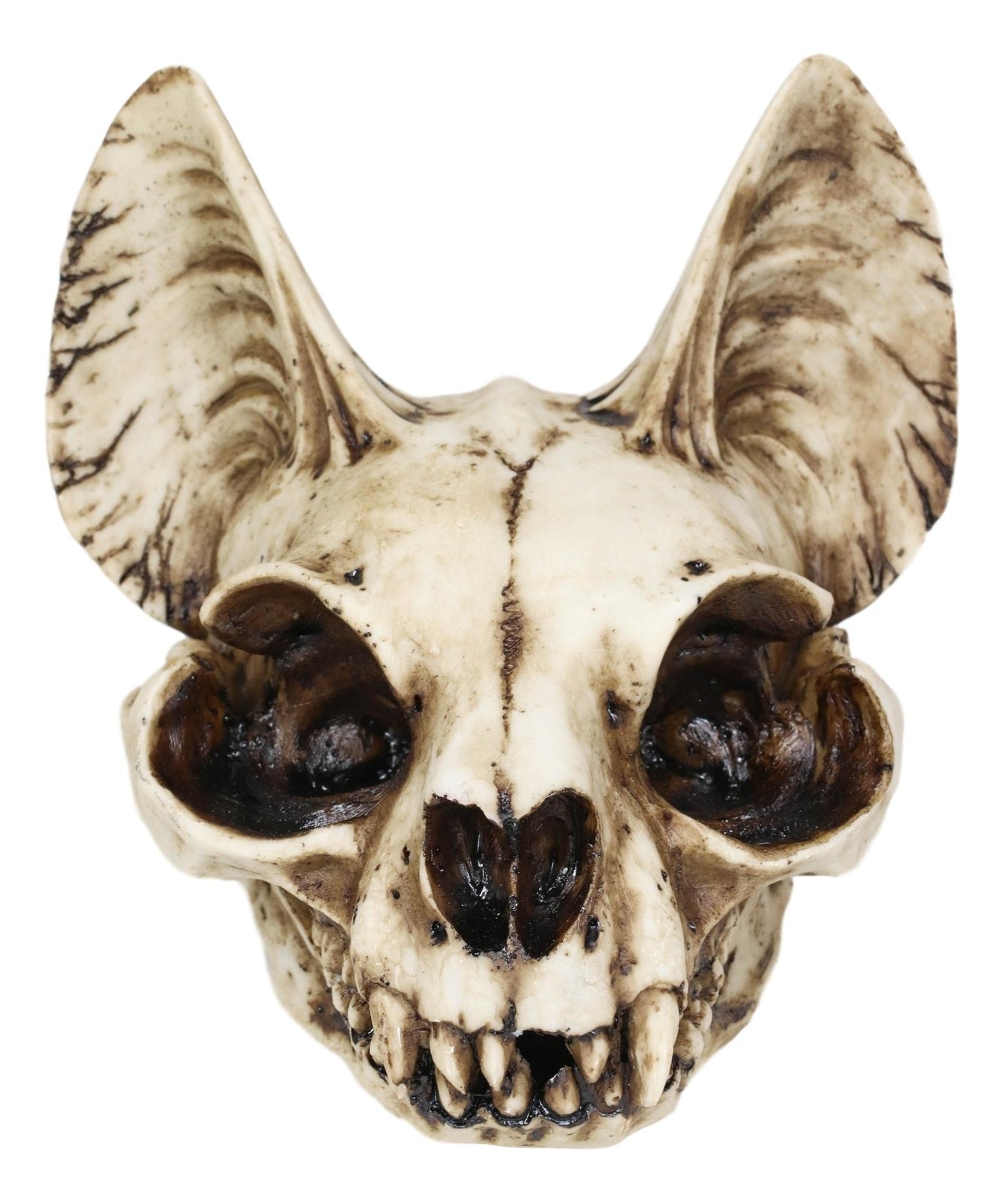 Egyptian Goddess of Protection and Home Bastet Cat Skull Statue Macabre Skulls