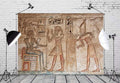 7X5Ft Fabric Wall Painting Backdrop Ancient Egyptian Gods and Hieroglyphs in Wall Painting Egyptian Tomb Phtography Backdrop for Party Decoration Photoshoot Photo Background Props