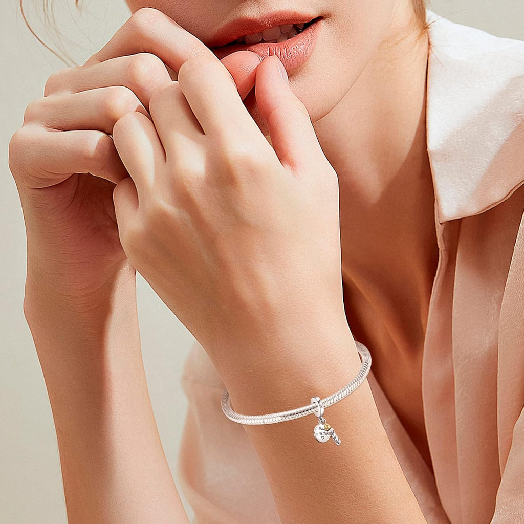 Silver Charms for Bracelets 925 Sterling Dragonfly Family Heart Love Dangle for Women Bracelet & Necklace Pendant